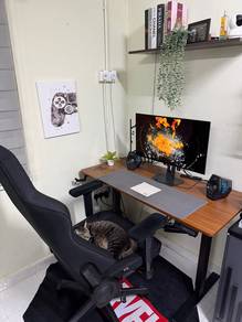 set up monitor gaming OLED