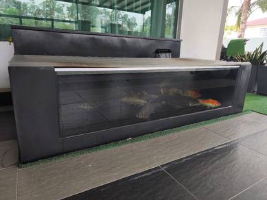koi fish + fibreglass pond