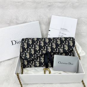 Dior Oblique Beige Saddle WOC