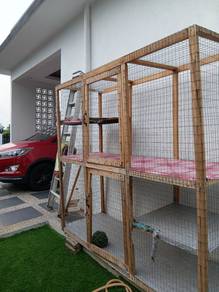Sangkar 6x6 kaki..