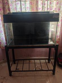Aquarium 3Kaki