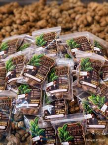 kunyit hitam kampearia plaviflora 