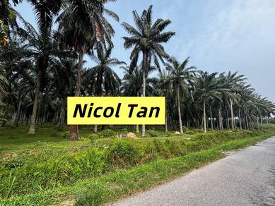 Others Land in Nibong Tebal, PNG
