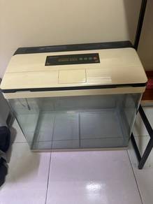 Aquarium curve 55 Siap