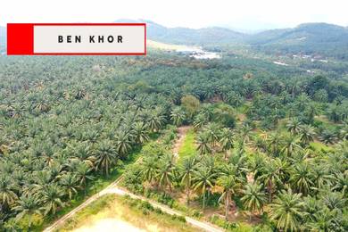 Agricultural Land in Bukit Mertajam, PNG