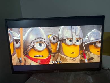 Dell 24inch Monitor wide view