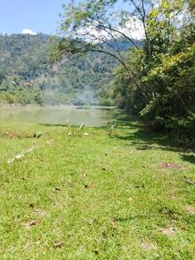 Agricultural Land in Selama, PRK