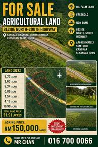 Agricultural Land in Parit Sulong, JHR