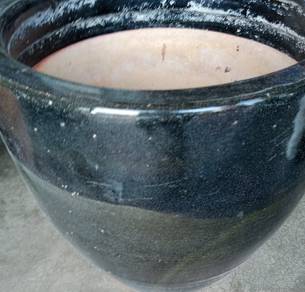 Flower Pot