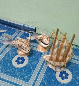 kulit kerang shell