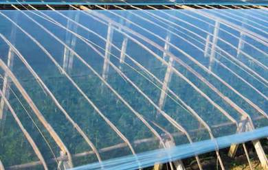 12s x 6m x 6m UV sheet / Greenhouse Film
