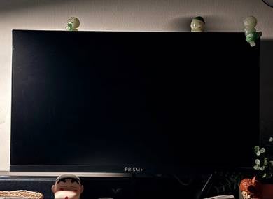 Prism+ W220V monitor 120Hz