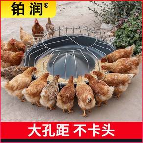 bekas makanan ayam