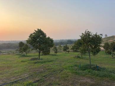 Agricultural Land in Batang Berjuntai, SGR