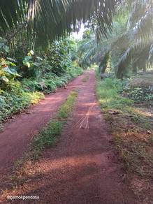 Agricultural Land in Bukit Gambir, JHR
