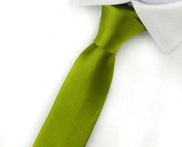 001 PROFESSIONAL TIE BUSiNESS MEN NECKTIE (GREEN)