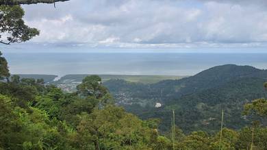 Agricultural Land in Balik Pulau, PNG