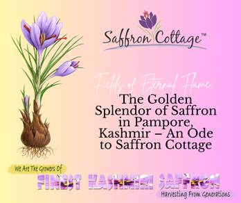 Healthy habits start at home! At Saffron Cottage