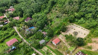 Agricultural Land in Pokok Sena, KDH