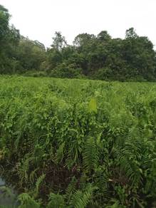 Mixed Development Land in Serian, SWK