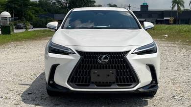 Lexus NX 250 LUXURY in Johor Bahru, JHR