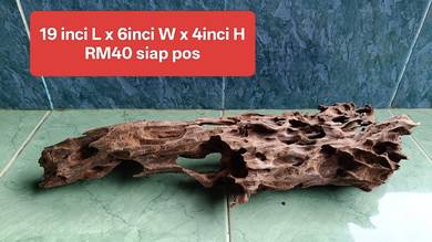 driftwood kayu lubang untuk aquascape shrimp tank
