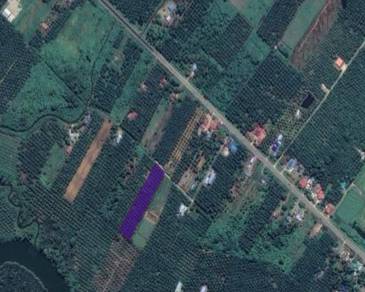 Agricultural Land in Rompin, PHG