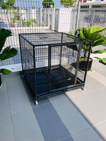 Sangkar Kucing @ Cage