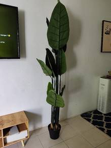 Pokok hiasan