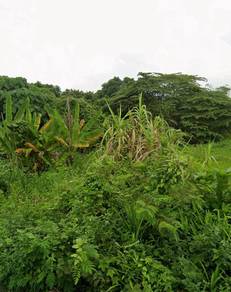 Agricultural Land in Kajang, SGR