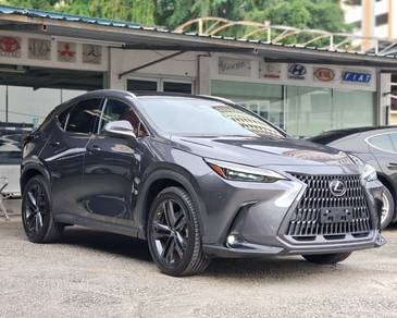 Lexus NX 250 LUXURY in Setapak, KUL