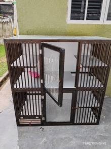 Sangkar Kucing