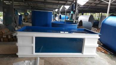 Arowana Breeding Tank ( OFFER)
