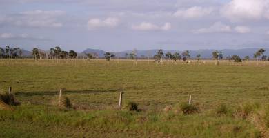 Agricultural Land in Rompin, PHG