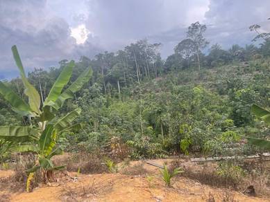 Agricultural Land in Ranau, SBH