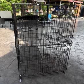sangkar kucing