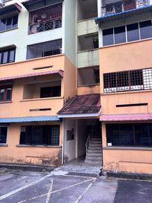 Apartment For Rent in Lily & Jasmine