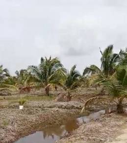 Agricultural Land in Kota Tinggi, JHR