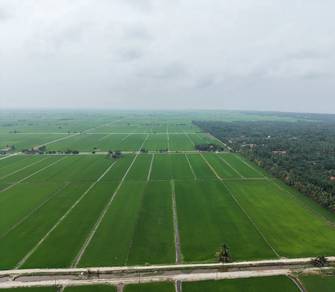 Agricultural Land in Sekinchan, SGR