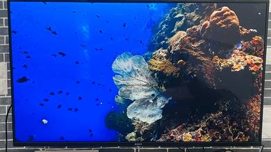 Sony Smart TV 50 inci