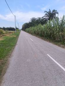 Agricultural Land in Tanjong Karang, SGR