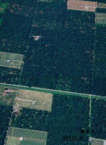 Agricultural Land in Telok Panglima Garang, SGR