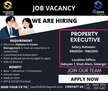 Job Vacancy as Property Executive