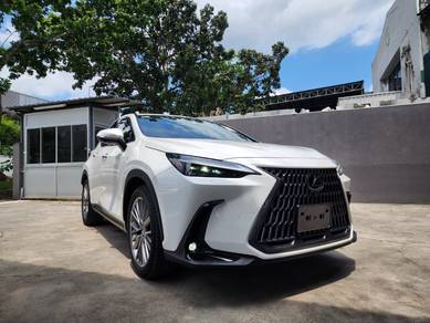 Lexus NX 250 LUXURY in Chan Sow Lin, KUL