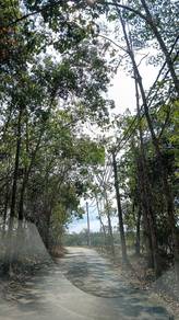 Agricultural Land in Juasseh, NSN
