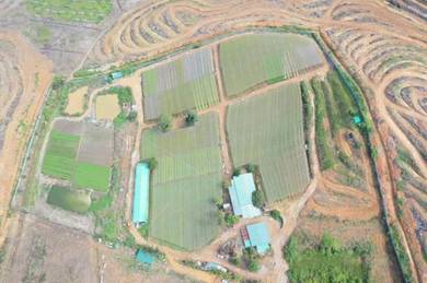 Agricultural Land in Kuantan, PHG