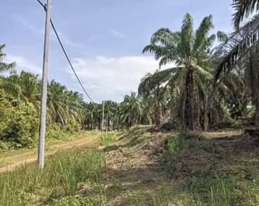 Residential Land in Alor Gajah, MLK