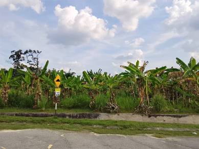Residential Land in Chemor, PRK