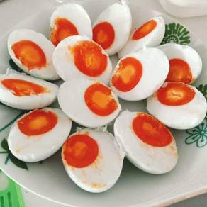 Pengedar Telur Masin Utara