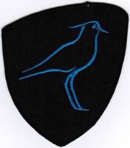 2017 Uruguay Uruguayan Rugby Union Team Patch